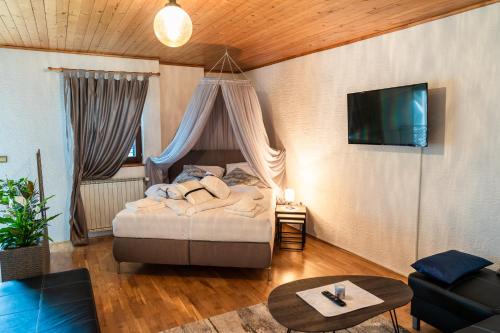 TV a/nebo společenská místnost v ubytování Apartments & Rooms Florjana