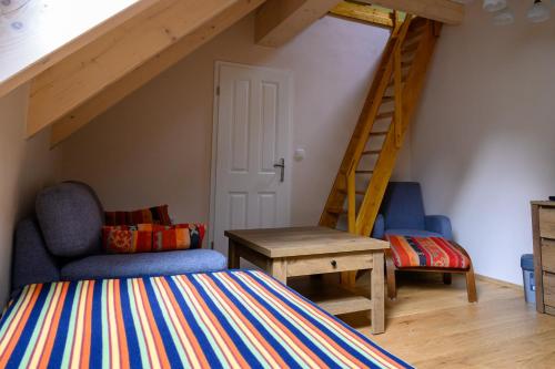 a bedroom with a bunk bed and a ladder at Villa Jana in Janske Lazne