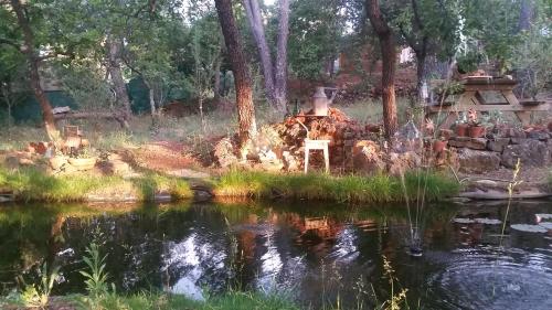 un estanque en medio de un jardín en Villa Mylena, en Jouques