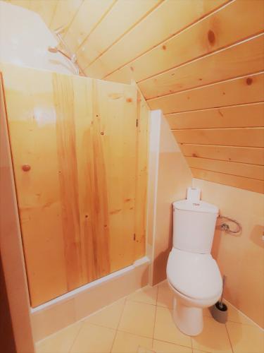 a small bathroom with a toilet and a shower at Tatrzańska Kotwica in Witów