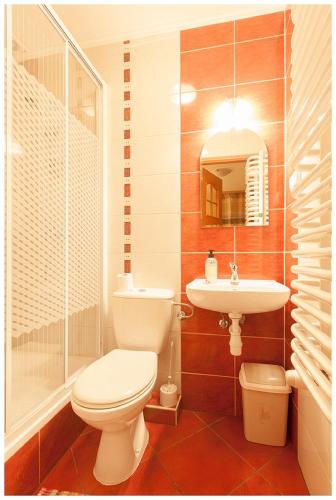 a bathroom with a toilet and a sink and a shower at Tatrzańska Kotwica in Witów