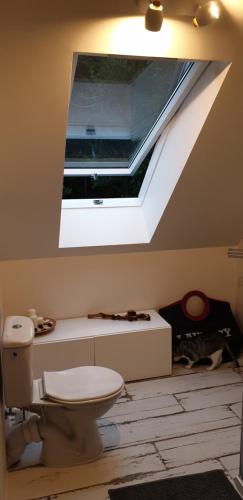 a bathroom with a toilet and a skylight at Sasinko in Sasino