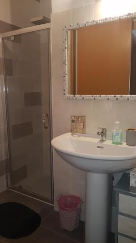a bathroom with a sink and a shower with a mirror at Relais La Terrazza in Palmadula
