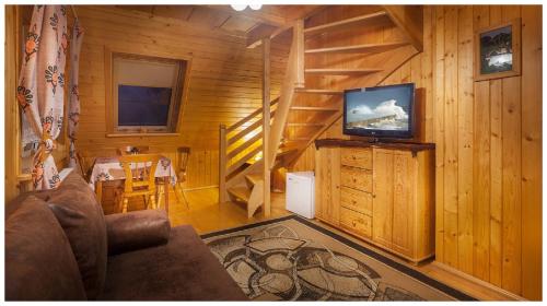 a living room with a television in a log cabin at Tatrzańska Kotwica in Witów
