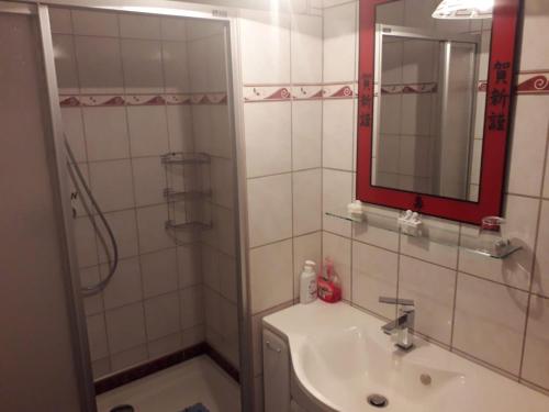 フリードリッヒシュブルンにあるFerienhaus Schulenbergのバスルーム(シンク、鏡付きシャワー付)