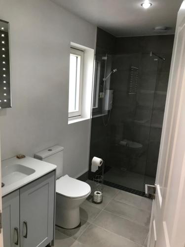 a bathroom with a toilet sink and a shower at Mary Ann's Ballyheigue Cottage in Tralee
