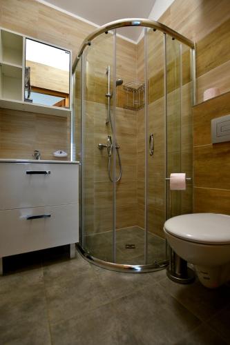 a bathroom with a shower with a toilet and a sink at Domki na Rozanej in Rowy