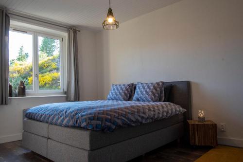 1 dormitorio con 1 cama con edredón azul y ventana en Moulin des Comtes - Gite des Graines, en Viverols