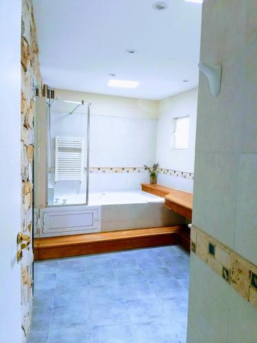 a bathroom with a shower and a bath tub at Hotel Boutique Posada Piedras Blancas in Santa Rosa