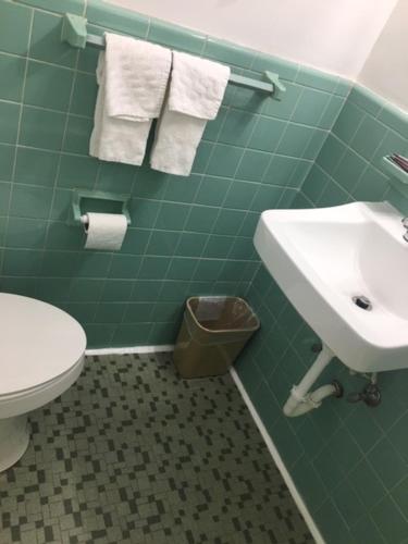 a green bathroom with a toilet and a sink at Hilltop Inn in Franklin