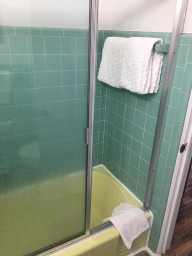 a bathroom with a shower with a green tile wall at Hilltop Inn in Franklin