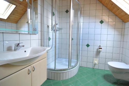 ein Bad mit einer Dusche, einem Waschbecken und einem WC in der Unterkunft Müllnerbauer in Napplach