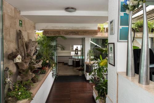 a hallway with plants on the walls at Colombe Hotel Boutique in Xalapa