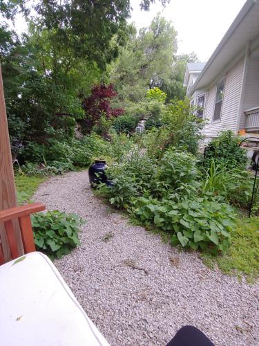 Delano Bed and Breakfast – Photos 2