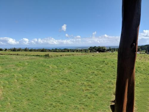 a field with green grass and a wooden pole at The Inn at Kulaniapia Falls in Hilo