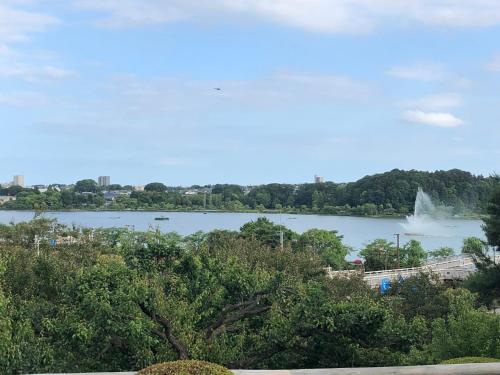 a view of a lake with a fountain in the distance at Restay Mito (Adult Only) in Mito