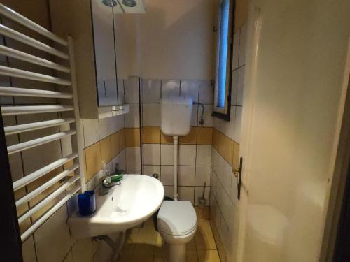 małą łazienkę z toaletą i umywalką w obiekcie Aprtman Sonja 2 w Belgradzie