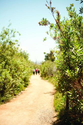 a dirt road with people walking down it at Park Hyatt Aviara in Carlsbad