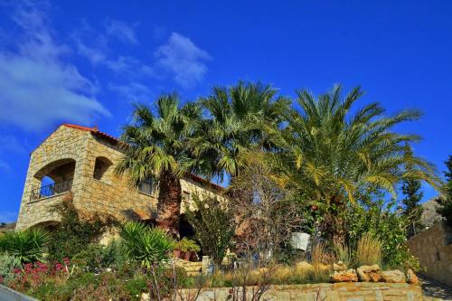 a house with palm trees in front of it at Elouthia Residence with Sea View and Hot Tub in Tsoútsouros