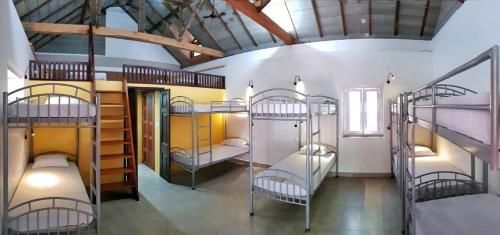 a room with four bunk beds in a building at Design Ashram in Kozhikode