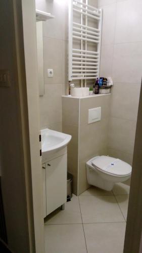 a small bathroom with a toilet and a sink at Art Apartman in Plitvička Jezera