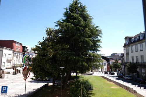 a large pine tree in the middle of a street at Hotel Dona Sofia in Braga