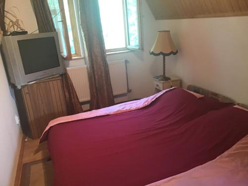 a bedroom with a red bed and a tv at Van egy ház a Tisza parton in Tiszaderzs