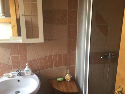 a bathroom with a sink and a shower at Van egy ház a Tisza parton in Tiszaderzs