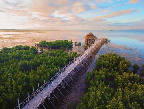 an aerial view of a wooden bridge over the water at North Zen Villas in Panglao