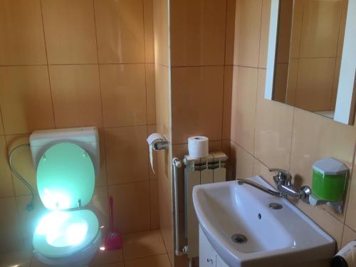 a bathroom with a toilet with a light on it at Casa Ovi și Simo in Haţeg
