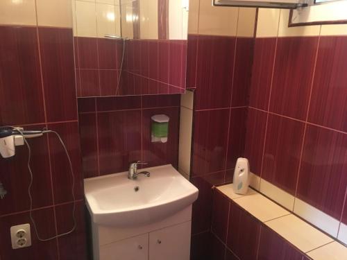 a small bathroom with a sink and a mirror at Casa Ovi și Simo in Haţeg