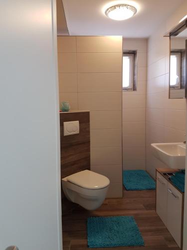 a bathroom with a toilet and a sink at Ferienwohnung Sonnenschein in Burgau