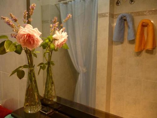 zwei Vasen mit Blumen auf einer Theke im Bad in der Unterkunft A casa di Gloria in Acqui Terme