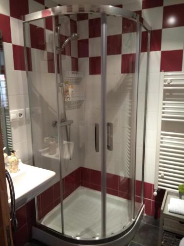 a shower in a bathroom with red and white tiles at Apartamento Cine Colón in Ribadeo