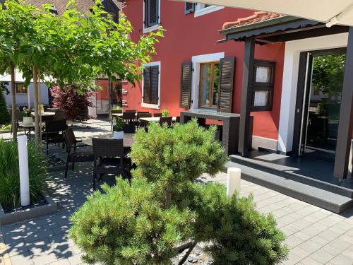 a small pine tree in front of a building at Logis Hôtel Restaurant Au Lion Rouge in Bartenheim