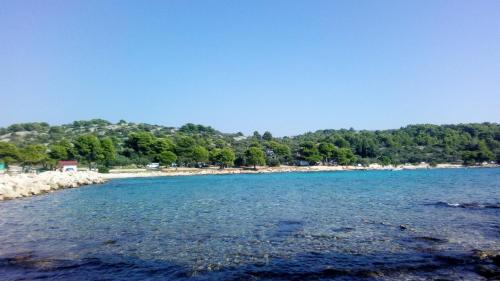 a view of the shoreline of a beach at Apartments Anita Frane in Vodice