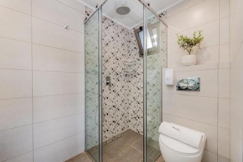 a bathroom with a shower and a toilet at Jasmine Suites with Private Pool in Tsilivi