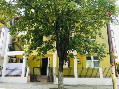 a yellow building with a tree in front of it at Vila Yzabelle in Eforie Nord