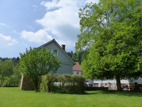 une maison verte avec un arbre dans la cour dans l'établissement Ferienhaus Zur Muehle, à Mossautal