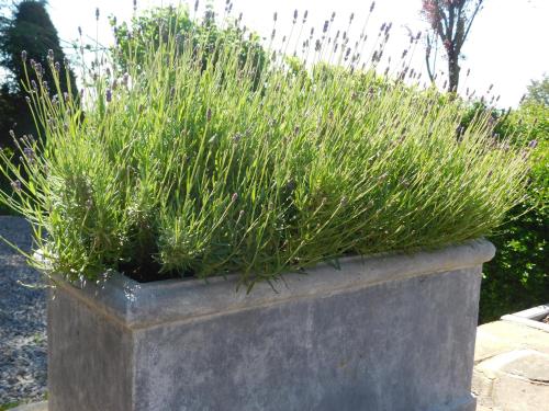 Jardín al aire libre en L'Aubier