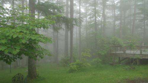 a foggy forest with a deck in the middle of the forest at ノマの森 Nomanomori B&B in Chino