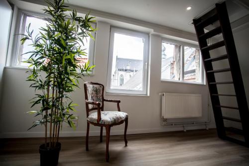 a chair and a plant in a room with windows at Luxury Suites Cathedral by Rikas Hotels in Antwerp