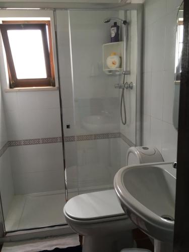 a bathroom with a shower and a toilet and a sink at Studio do Brejo - de 2 a 3 pessoas in Vila Nova de Milfontes