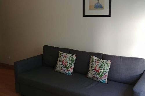 a gray couch with two pillows on top of it at Cosy studio, at foot of - au pied du, Château d'Amboise in Amboise