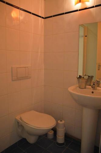 une salle de bain avec toilettes et lavabo dans l'établissement Cosy studio, at foot of - au pied du, Château d'Amboise, à Amboise