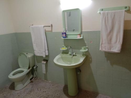 Chitral Guest House في شيترال: حمام مع مرحاض ومغسلة ومرآة