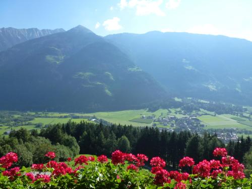 a view of a valley with flowers and mountains at Gasthof Bauhof in Villa Ottone