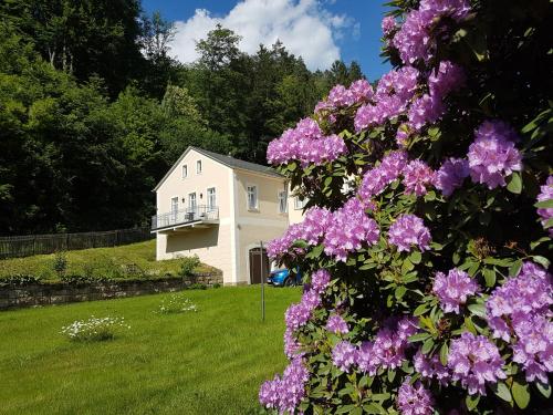 ein Haus mit lila Blumen davor in der Unterkunft Hotel Garni Dekorahaus in Bad Schandau