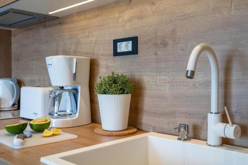 a kitchen counter with a mixer and a sink at Sealine Apartments A2 in Tivat