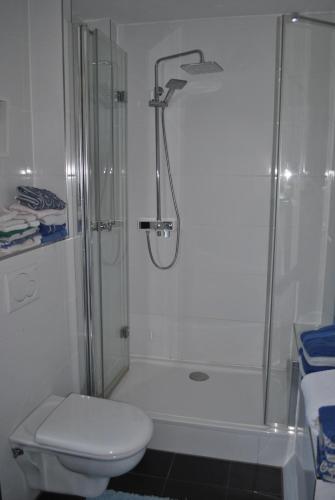 a bathroom with a shower and a toilet at gemütliche Zimmer im Einfamilienhaus in Cologne